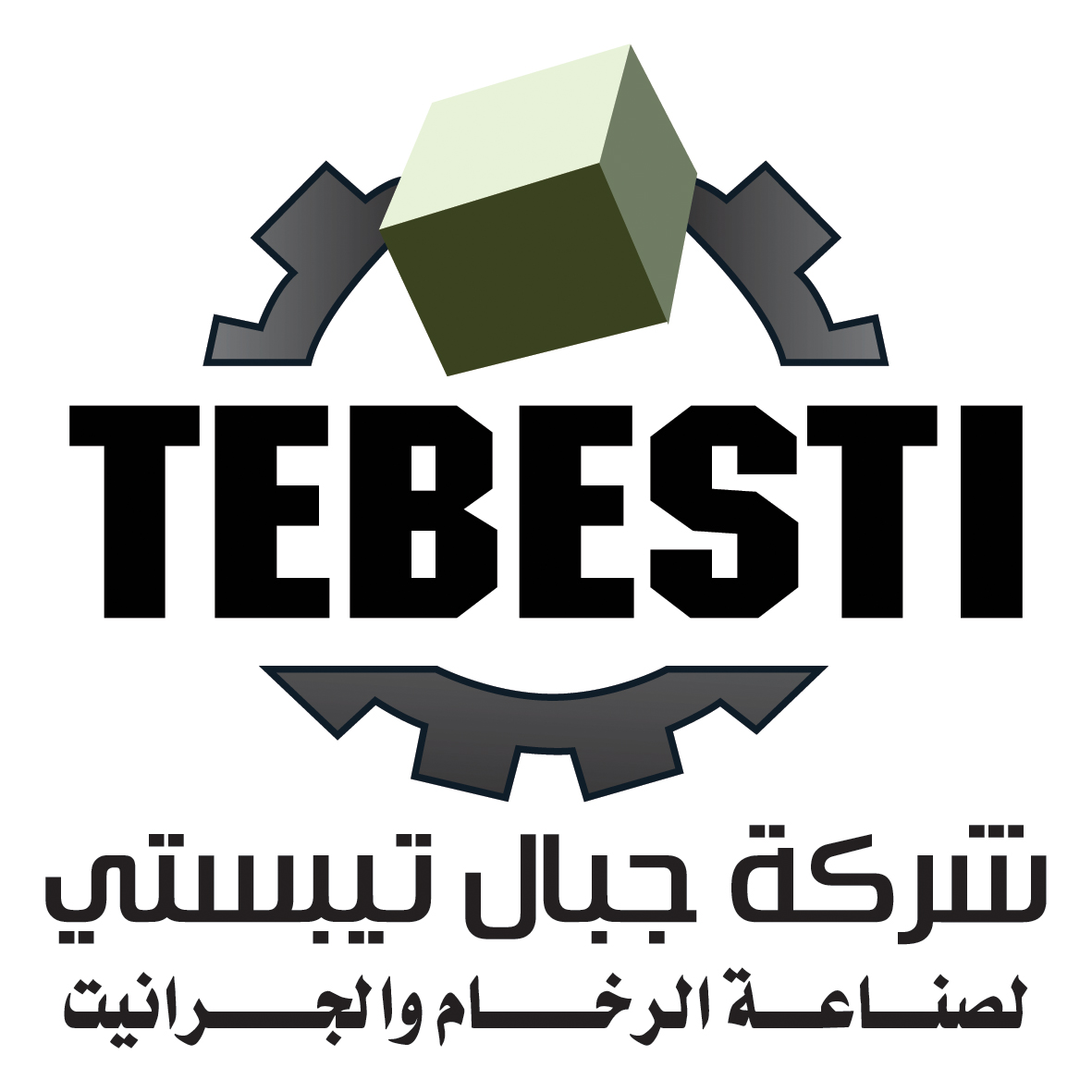 شركة جبال تيبستي